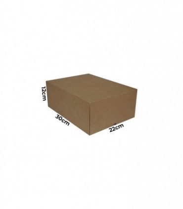 CAJA CARTÓN 300X220X120 mm