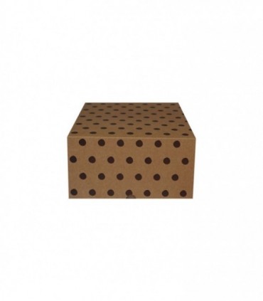 CAJA CARTÓN 300X220X120 mm