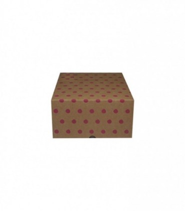 CAJA CARTÓN 300X220X120 mm