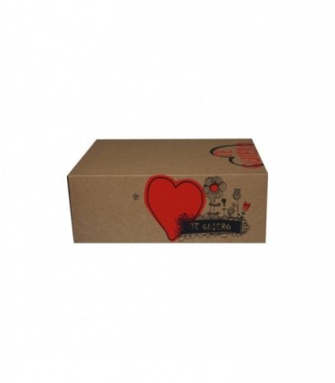 CAJA CARTÓN 300X220X120 mm