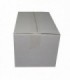 CAJA CARTÓN 365X245X235 mm