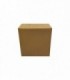 CAJA CARTÓN 300X195X315 mm