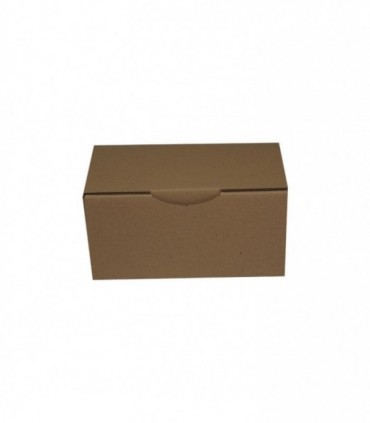 CAJA CARTÓN 117X205X100 mm