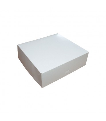 (X50) CAJA CUADRADA 25X25X8  BLANCA 6P