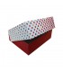 (X25) CAJA PASTAS 1KG 275X170X65